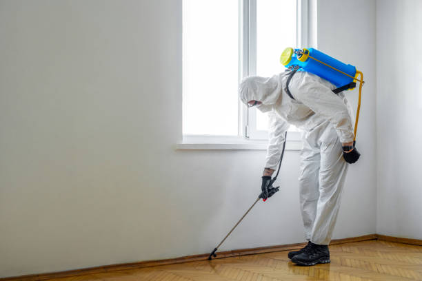 Best Residential Pest Control  in Taylor, MI